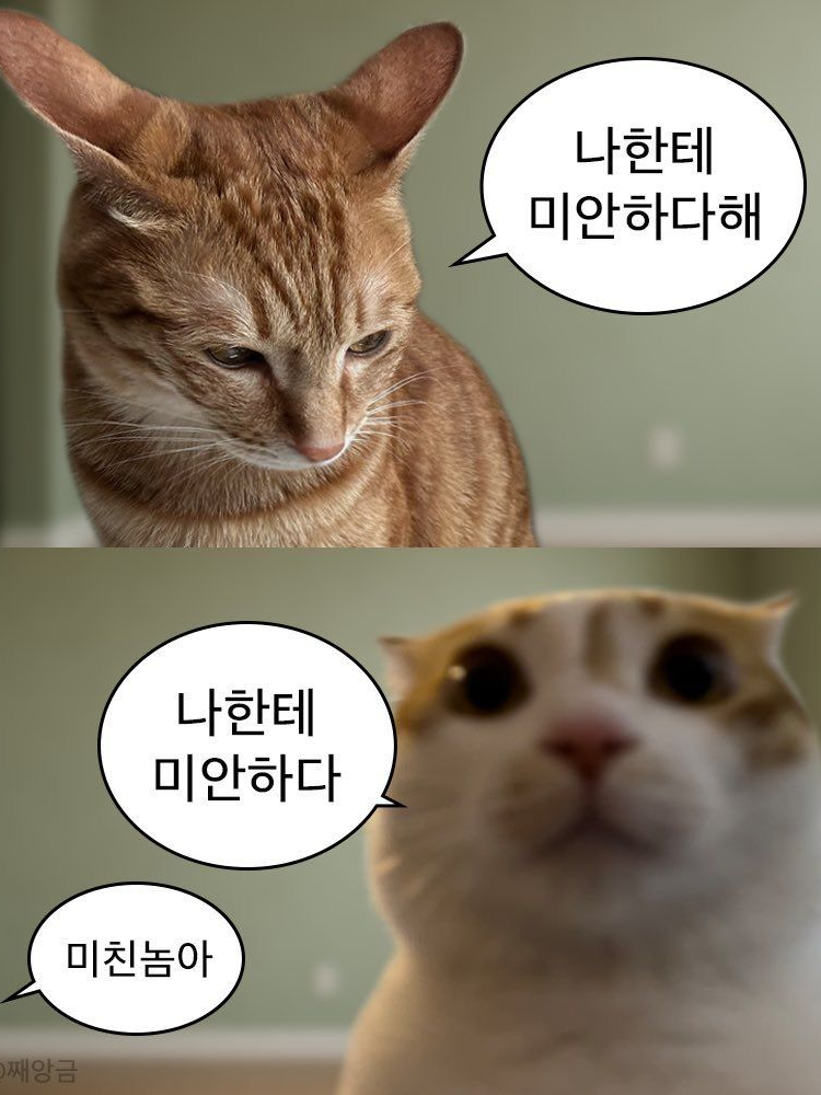 나한테 미안하다해 =3= 대표 이미지