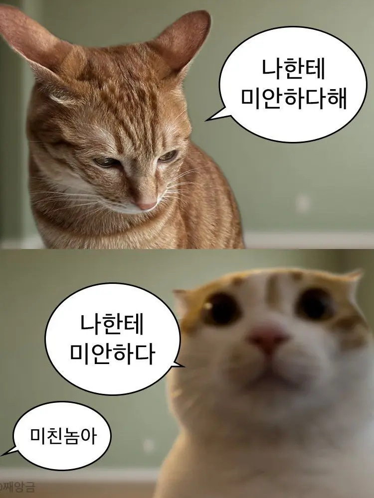 Sivural의 나한테 미안하다해 =3=