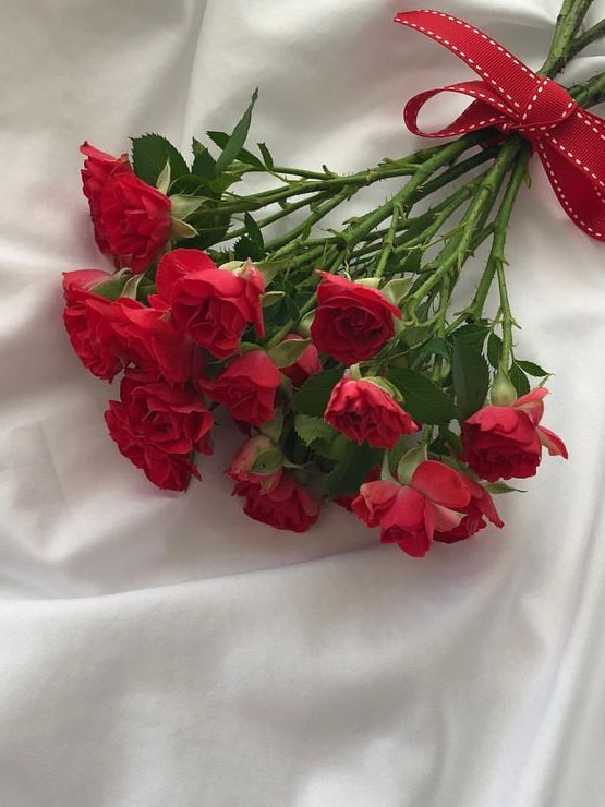 머리끈 고백🌠 대표 이미지