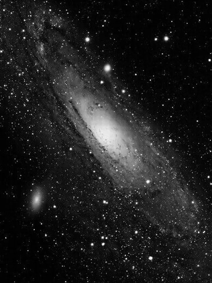 LavishCodec8242의 2人の子供