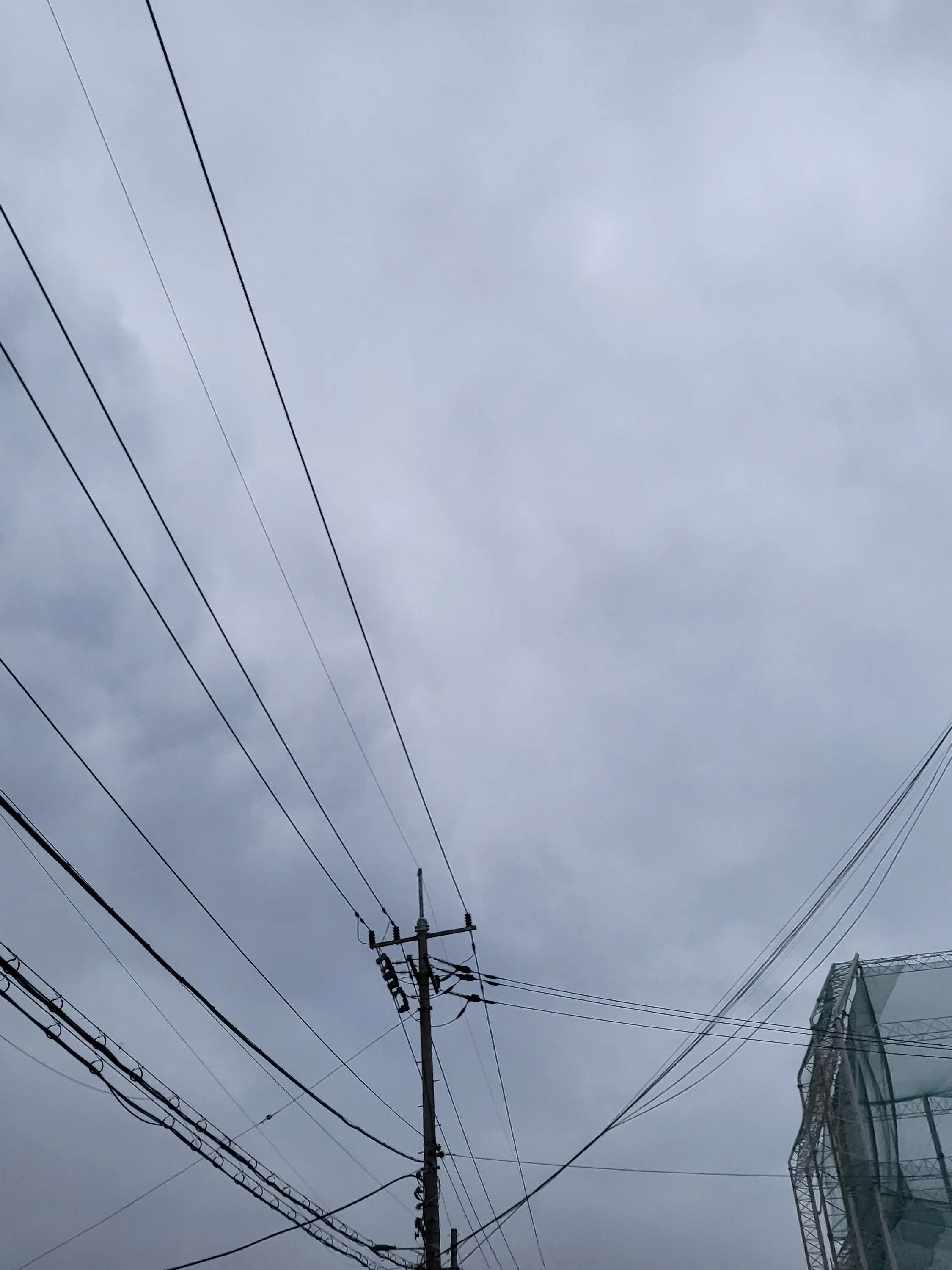 star_hana_0319_0215의 기선겸, 오미주 사이 당신.