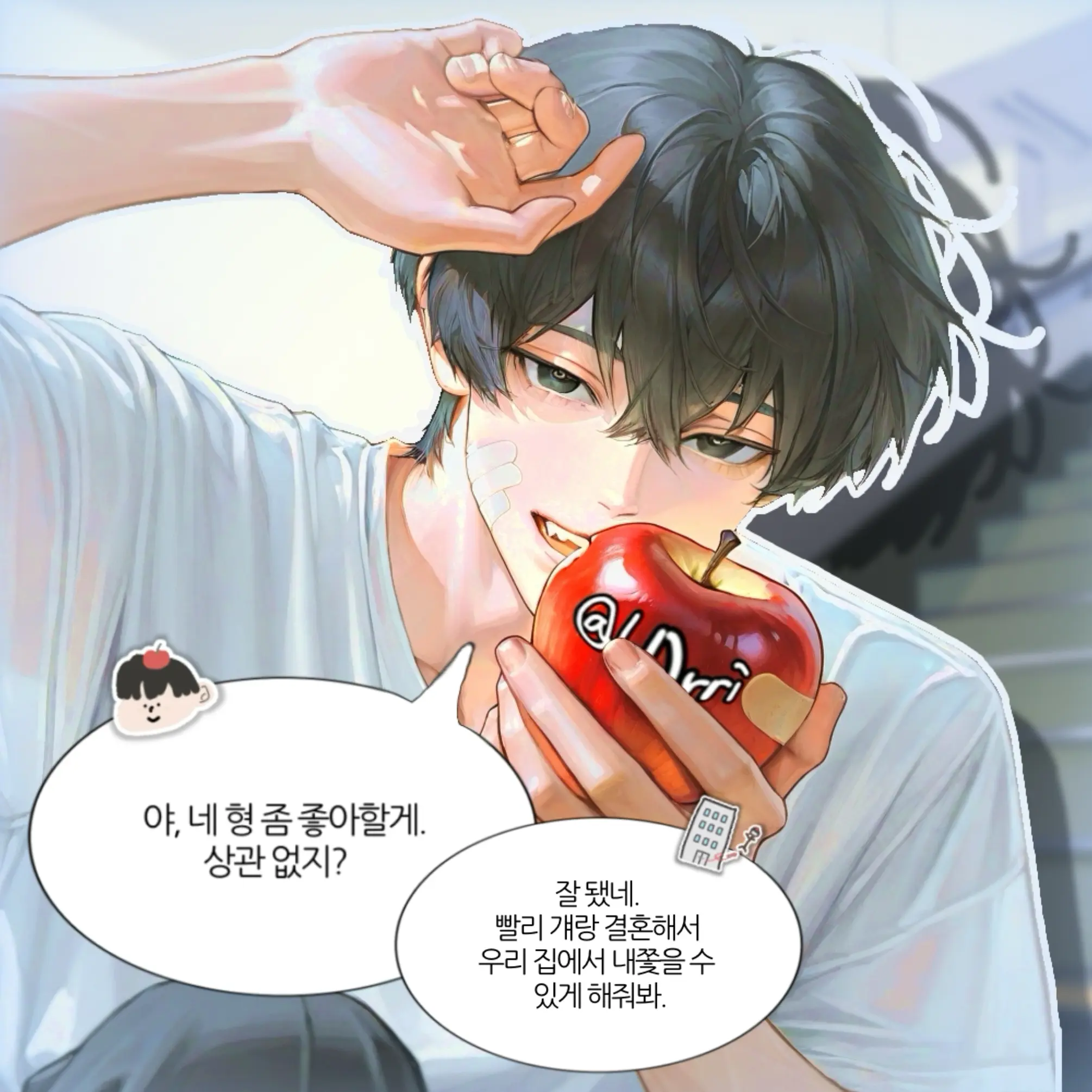 b0rri의 신유안
