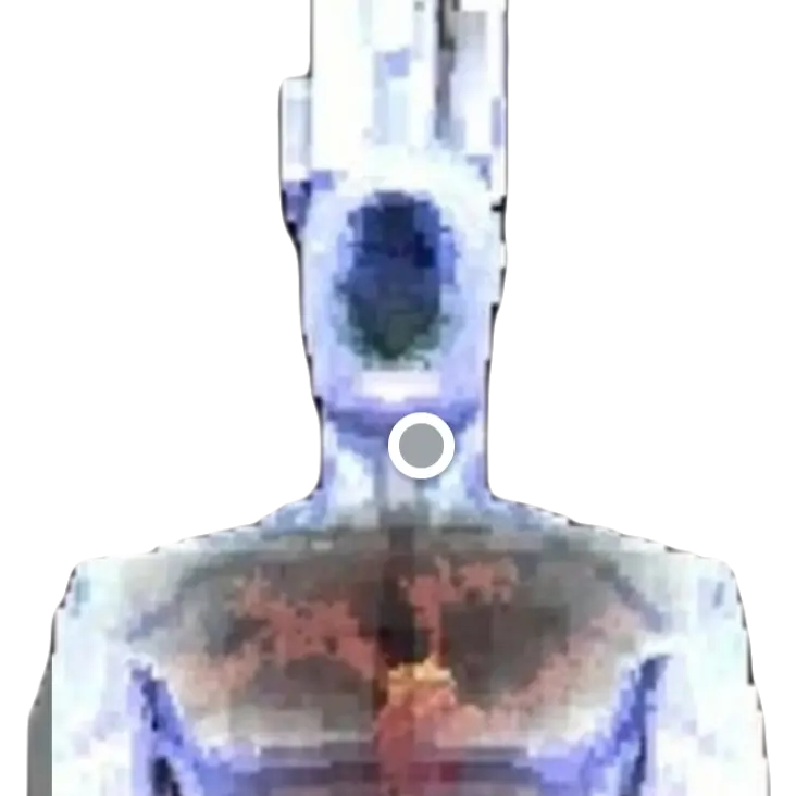 TangyHusky4208의 미노스 프라임