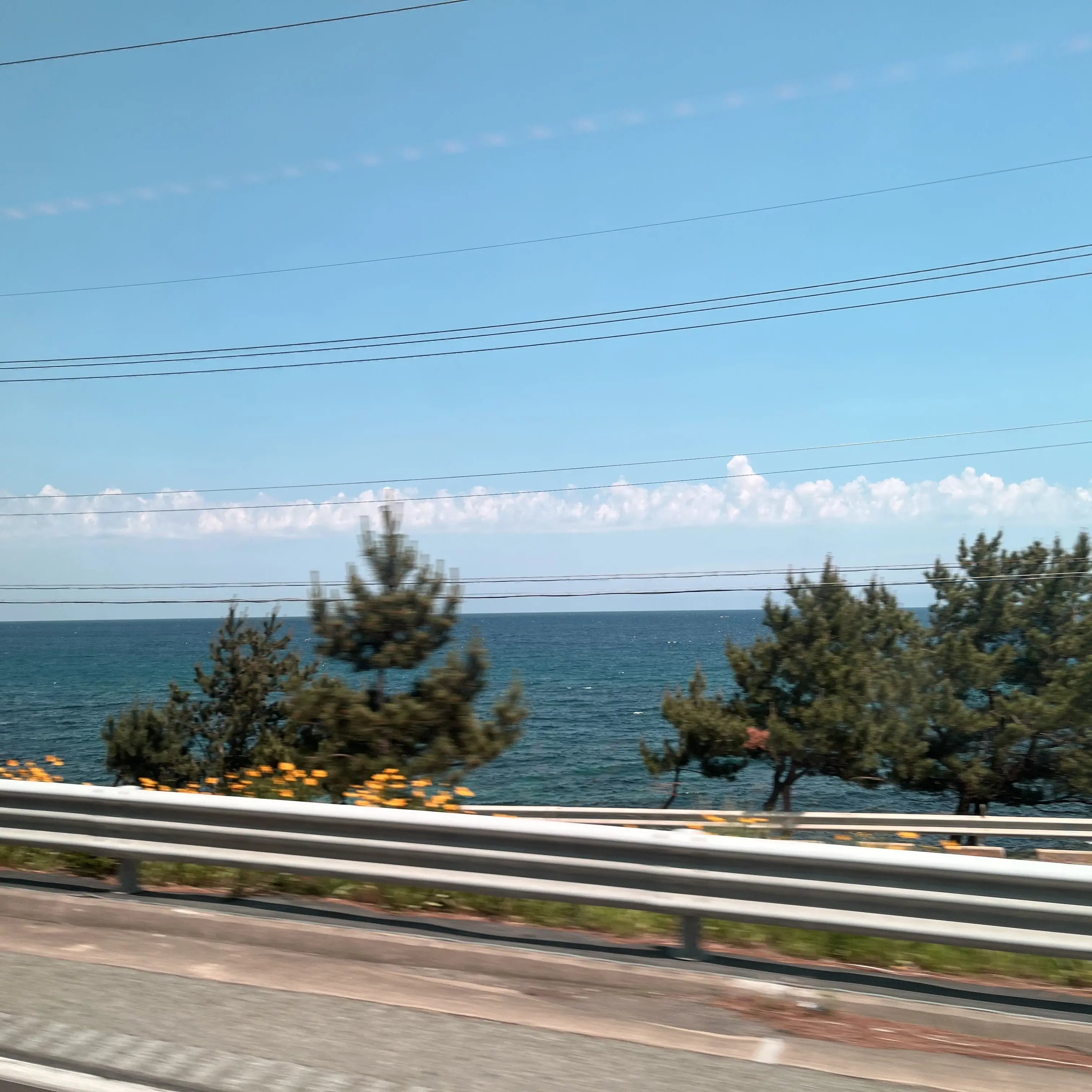 Kekekron의 소며리 ♡