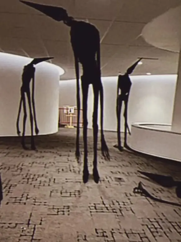 Kim-oing_XD_AK47의 전두엽 절제술.