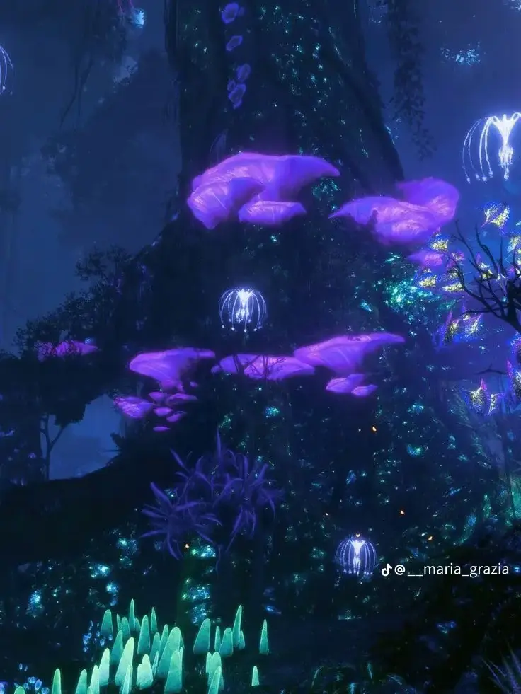 BoneFlag2306의 아바타