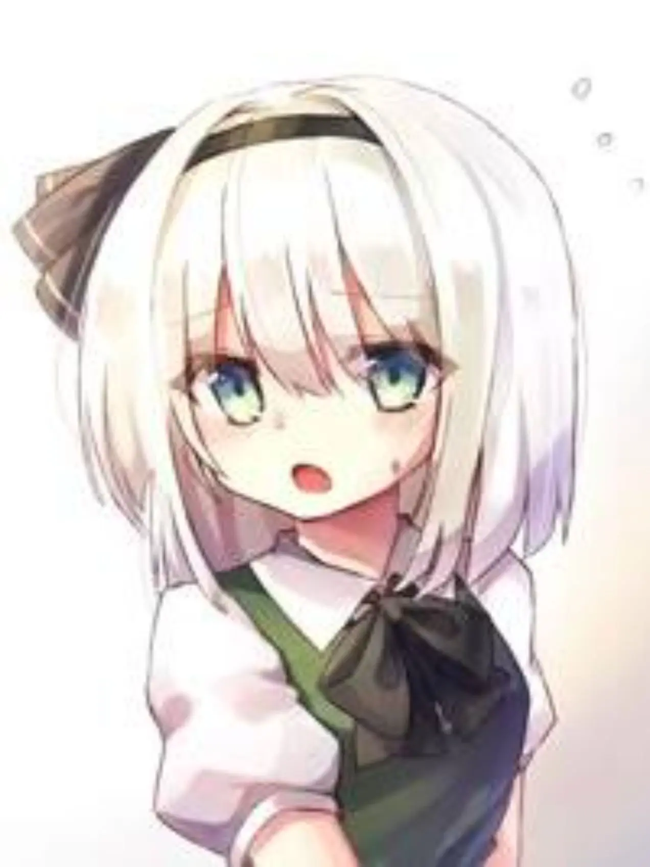warabimotidayo의 妖夢と仲良く