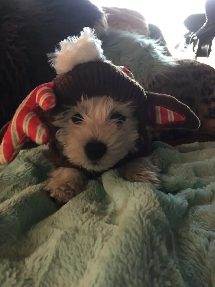 lo3vx511의 고3 선생님들 talk!