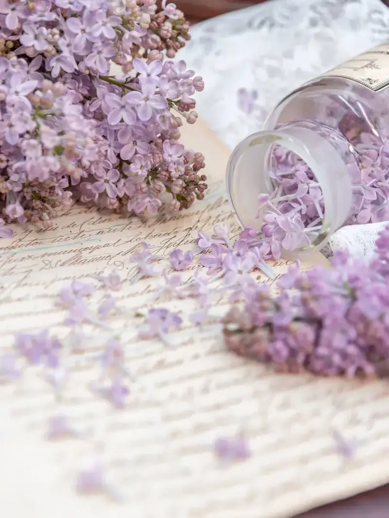 kuronekodaisuki의 クラスメイトが実は怪盗でした！？