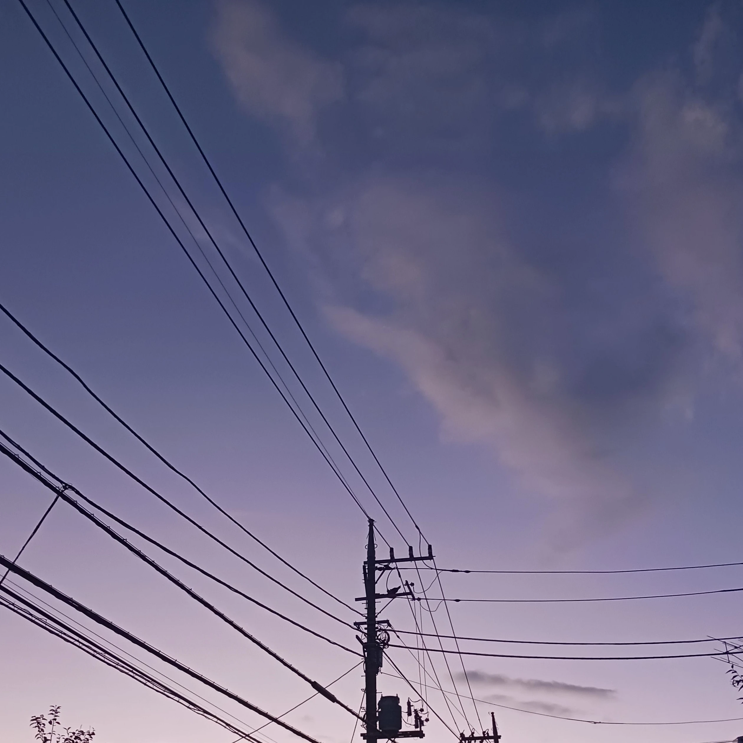 早く出ろ！！！