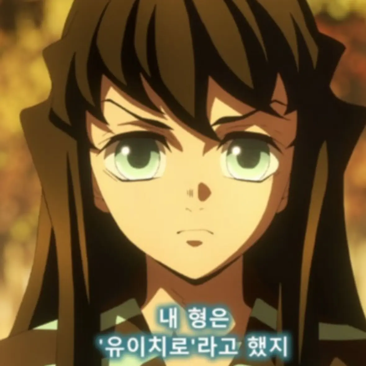 Sok의 토키토 형제