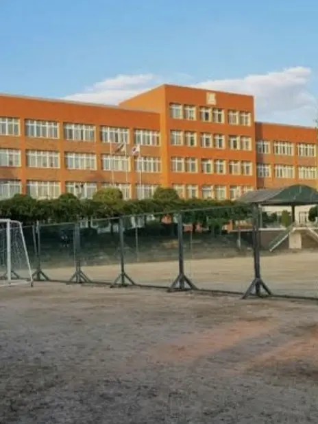 Greyheron의 일진학교에서 살아남기