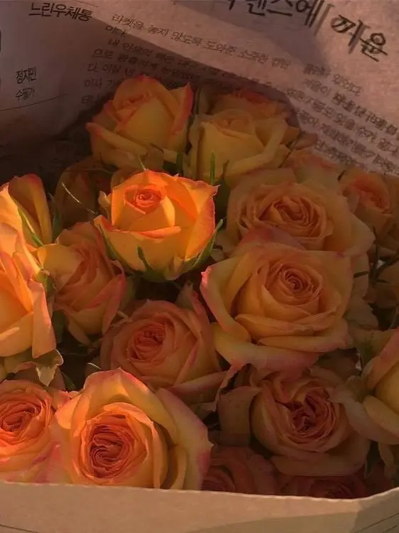 UglyDouc4025의 박_영_환_