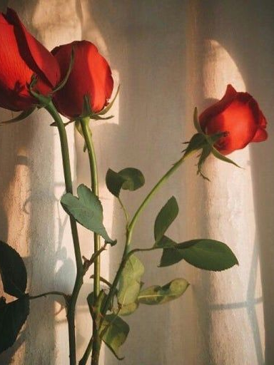 라더❤️ 덕개🧡 대표 이미지