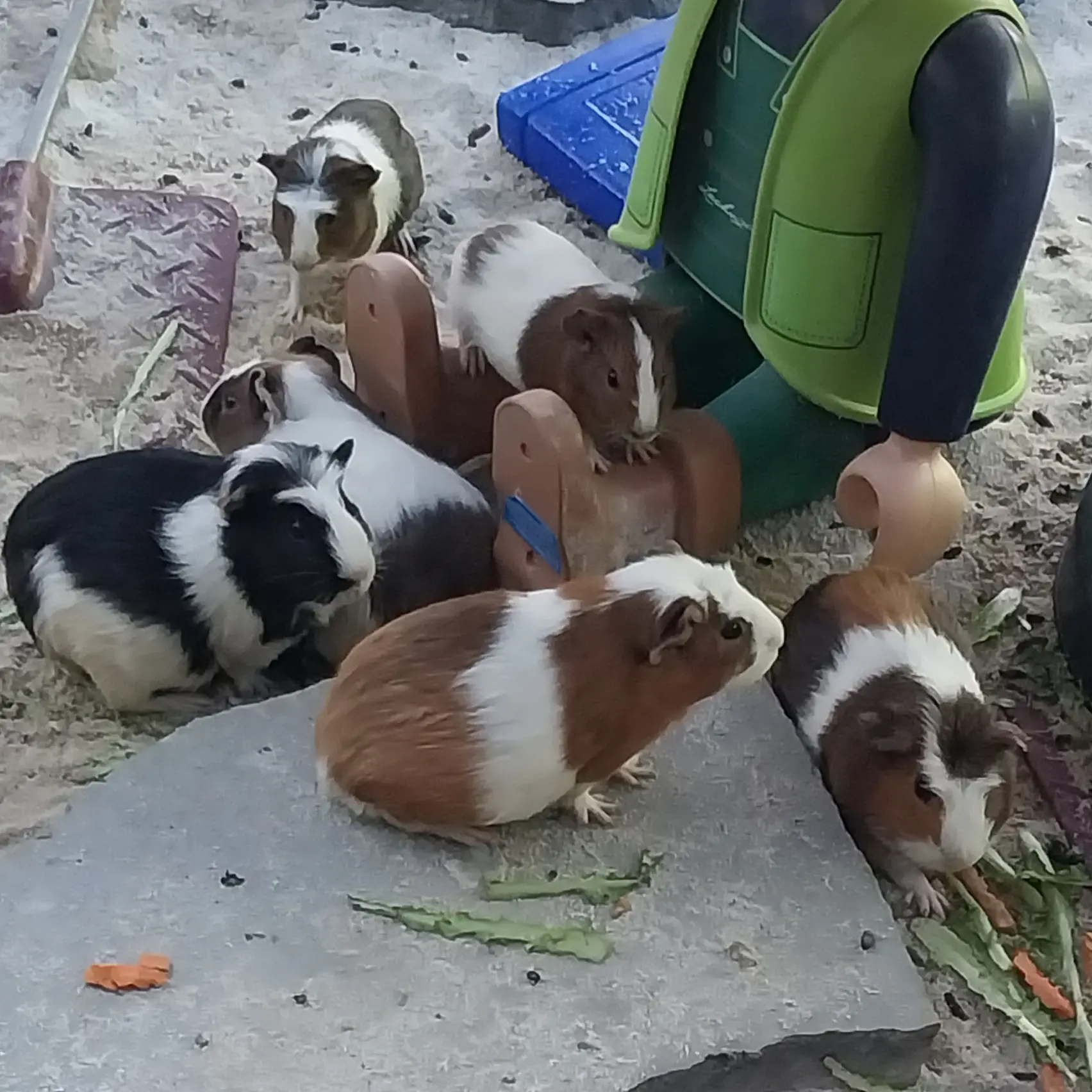 TAESAN_0417의 중학교 선생님(NCT WISH)