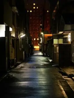 nanyanen의 試作中