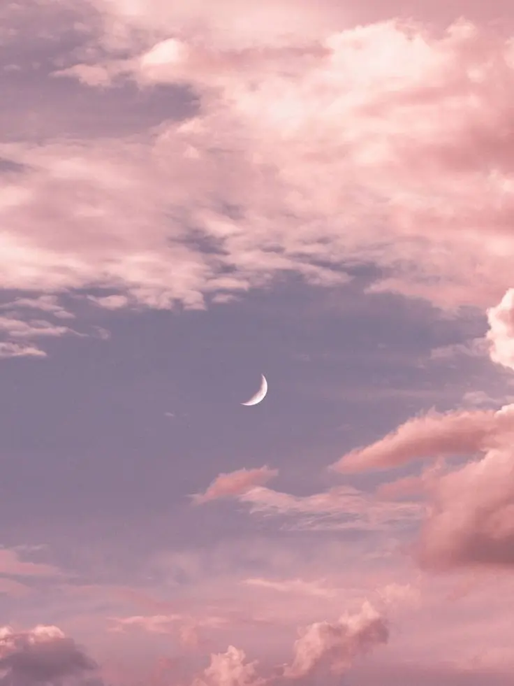 Kairaa__san의 女の子のようなバカイケホスト