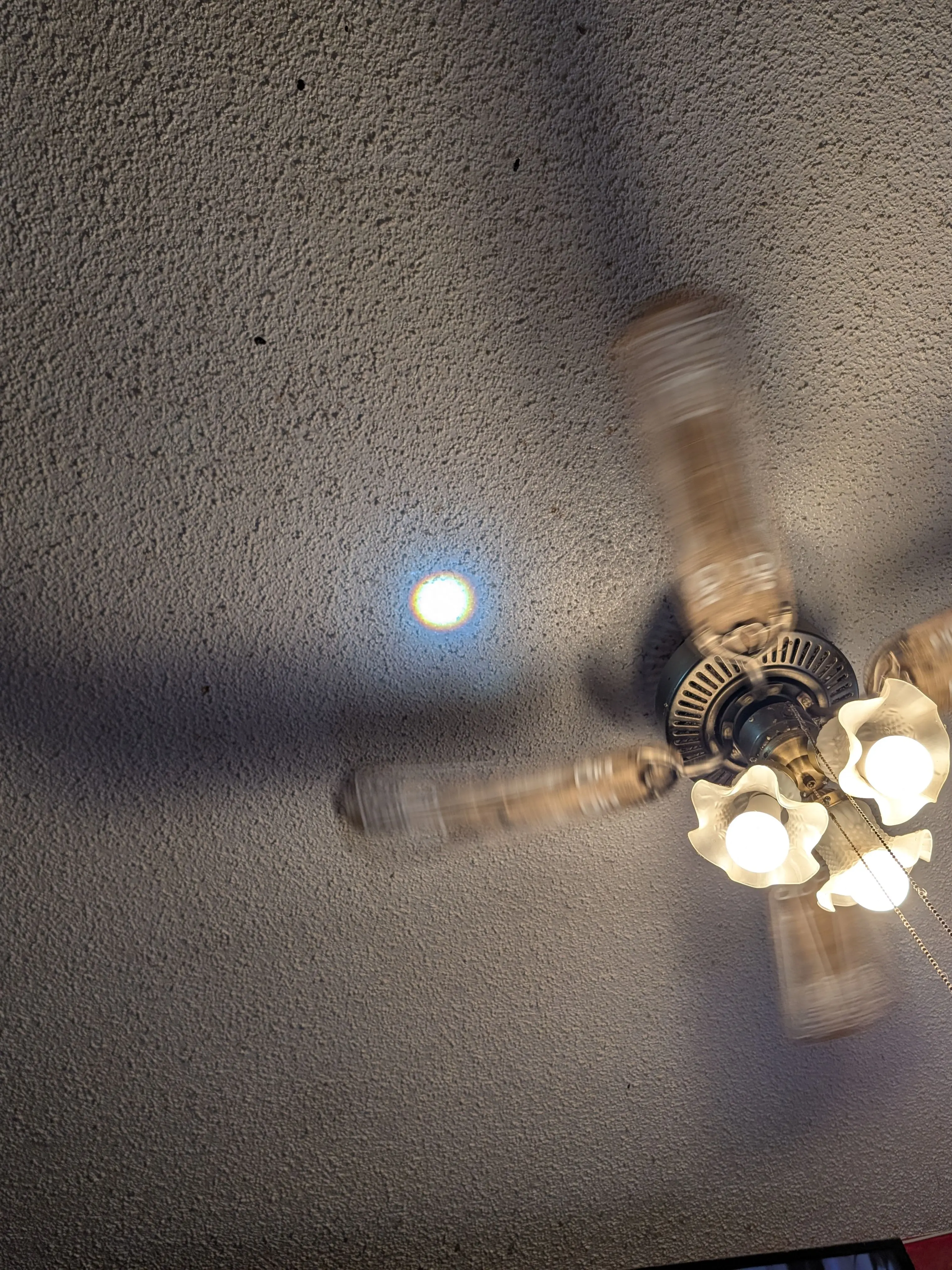 Ella_Charlotte554의 Taco II (EP 15 s2)