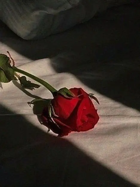 BIN_I의 ..왜 너는 항상 빛나? 갖고 싶게.