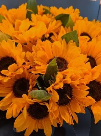 Mafioso_Lover486의 해바라기 = 변치 않는 사랑.