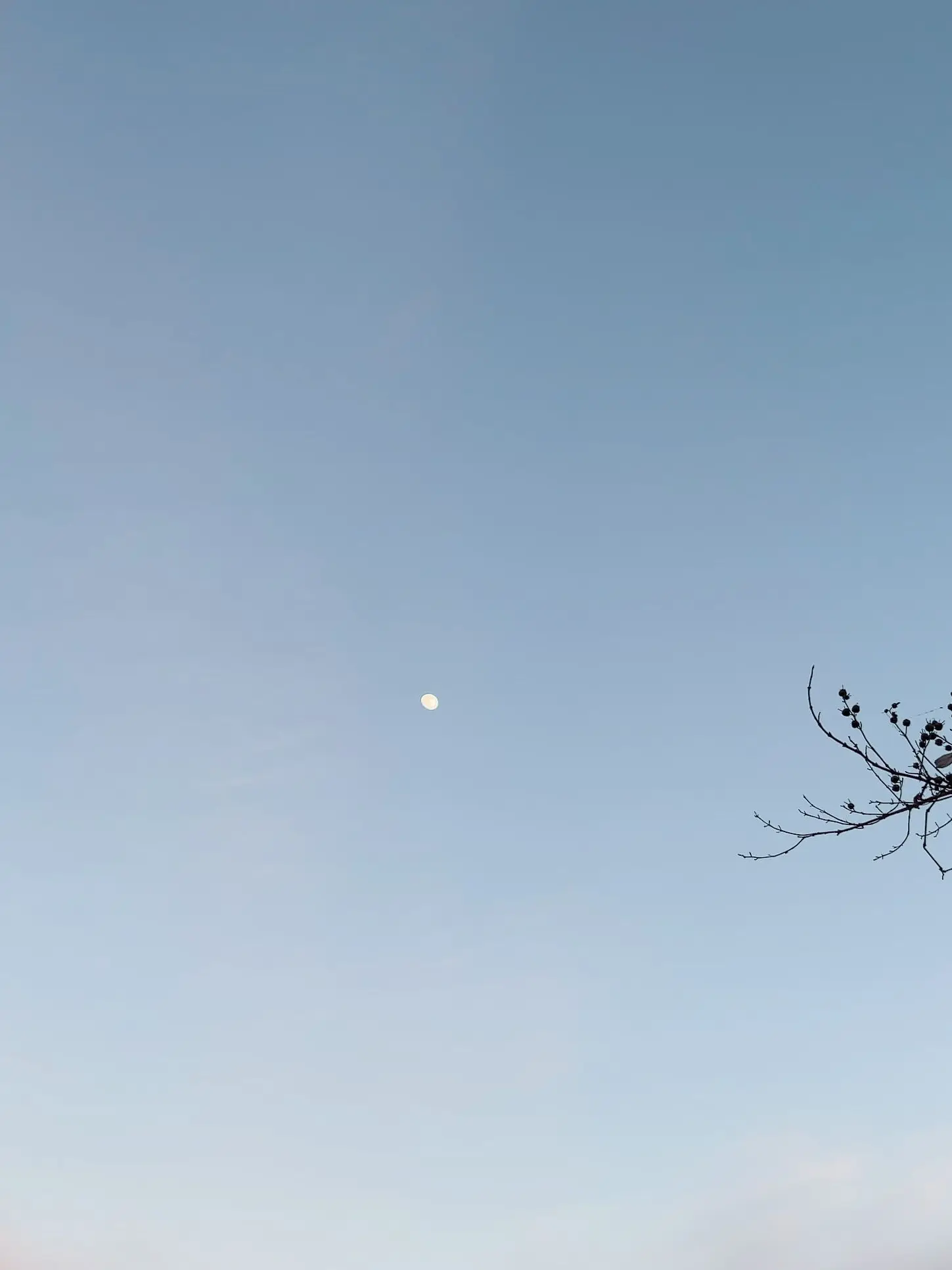 VainChart1968의 仲良し？な幼なじみと兄とあなたと…？