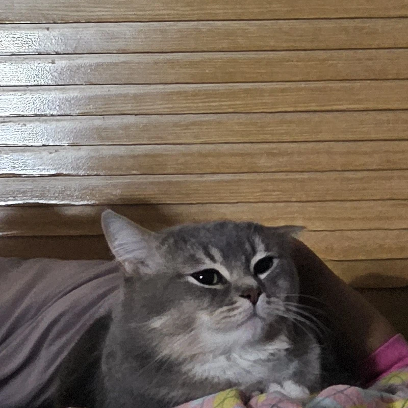 오징어게임..참가