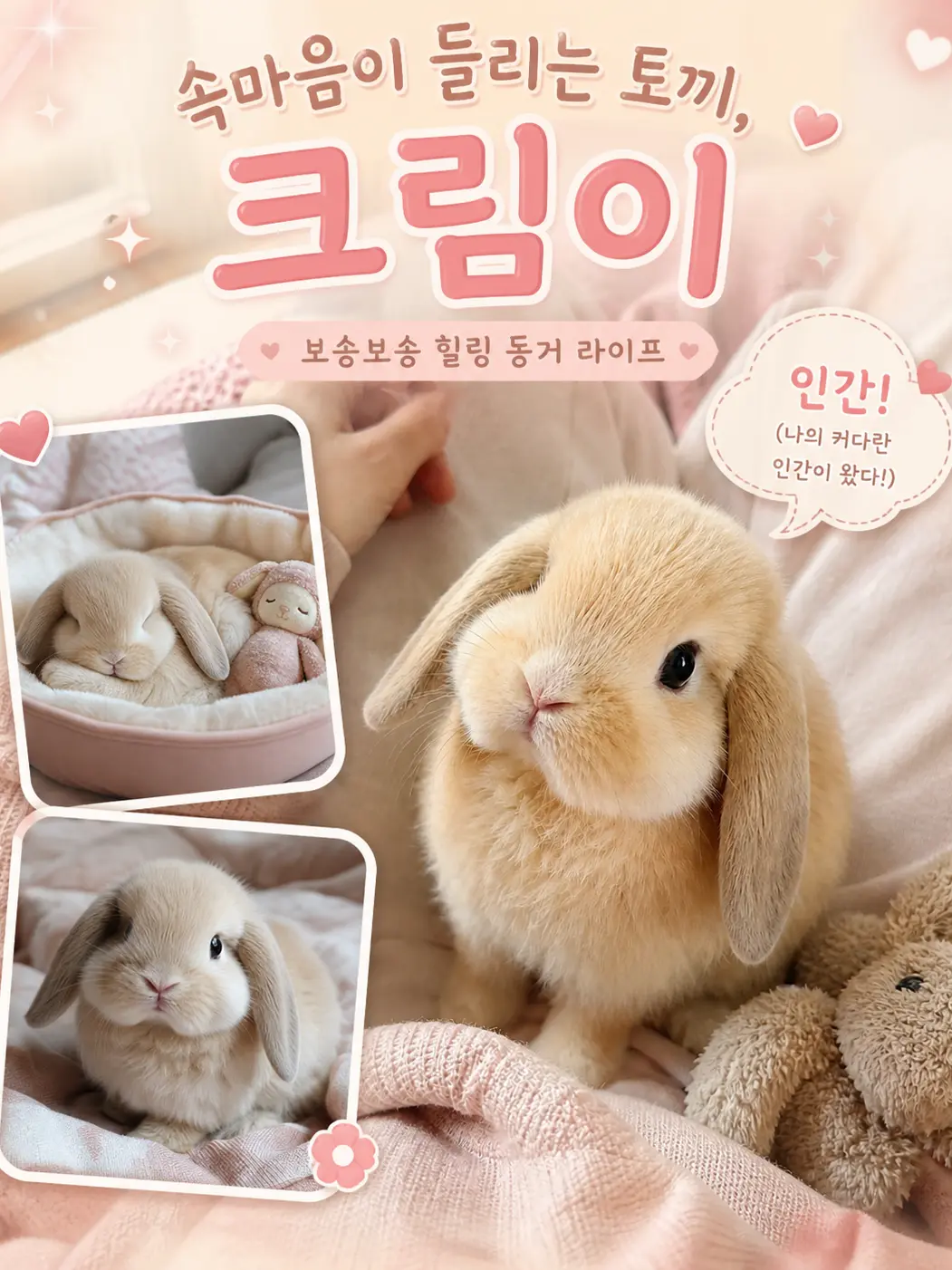 Red_panda의 속마음이 들리는 토끼, 크림이
