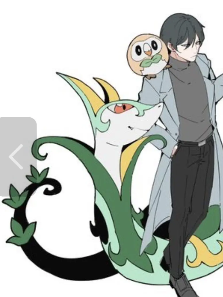 GaudyCoati8674의 糸師兄弟とポケモン(自分用、使うの⚪︎)