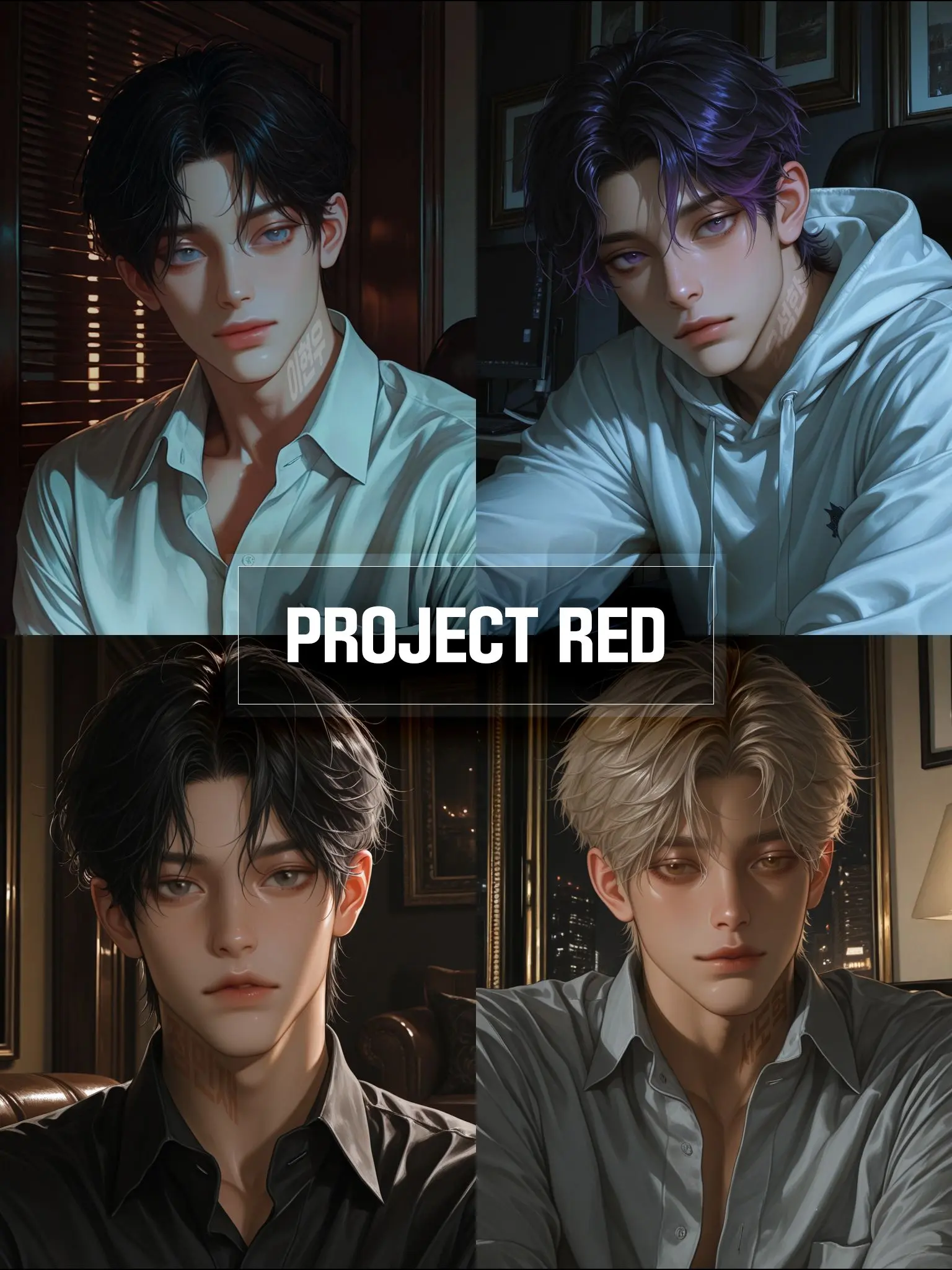 TINYJEIMIE의 Project RED