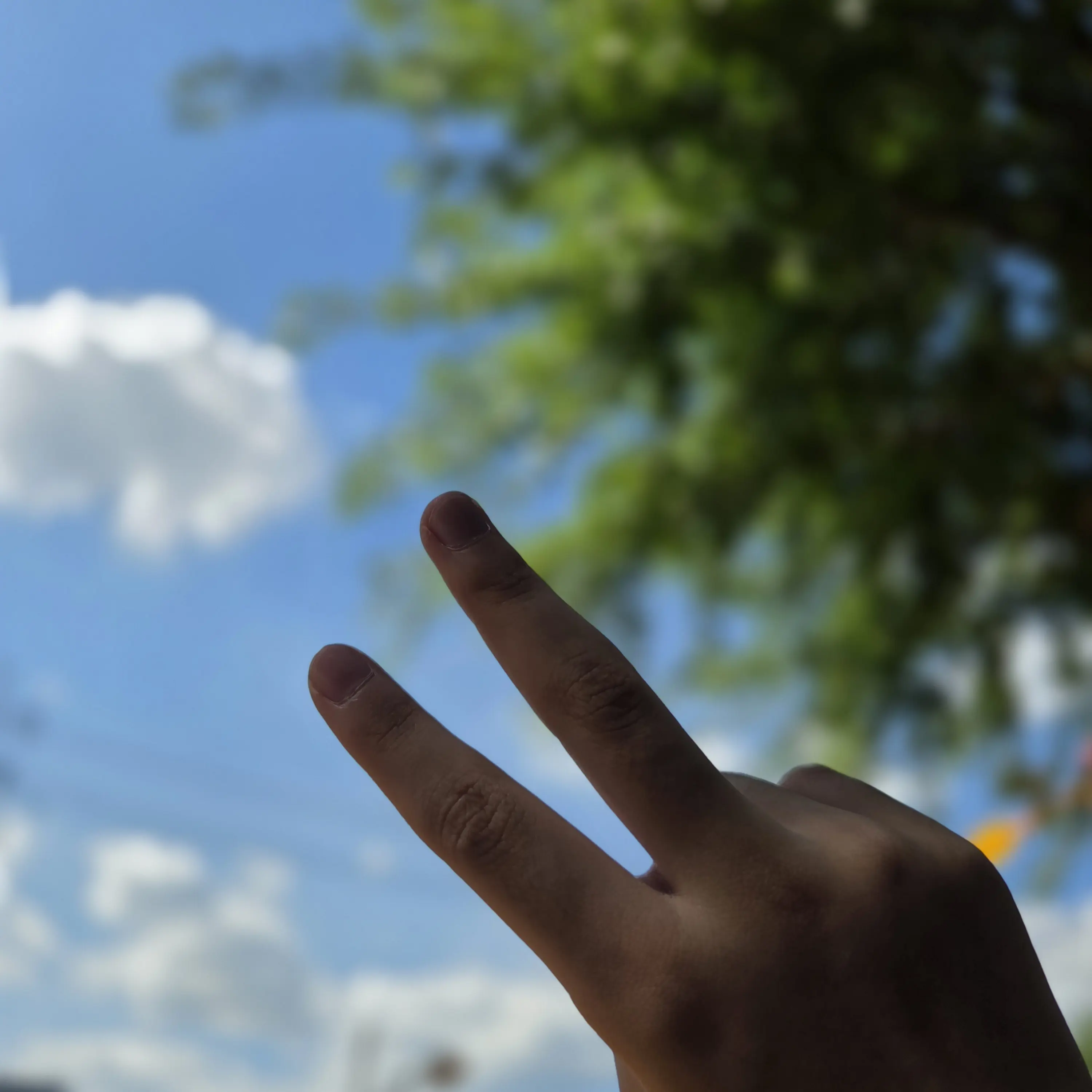 DaftlyStep1571의 여 우 비