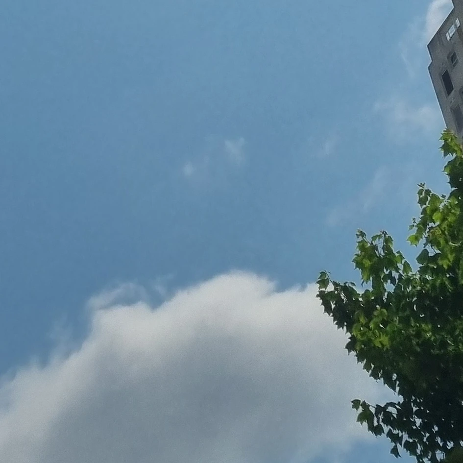 귀촌.