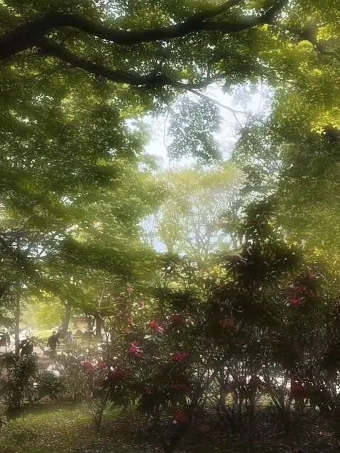 nono._x2.K의 神様のアサカクと人間user