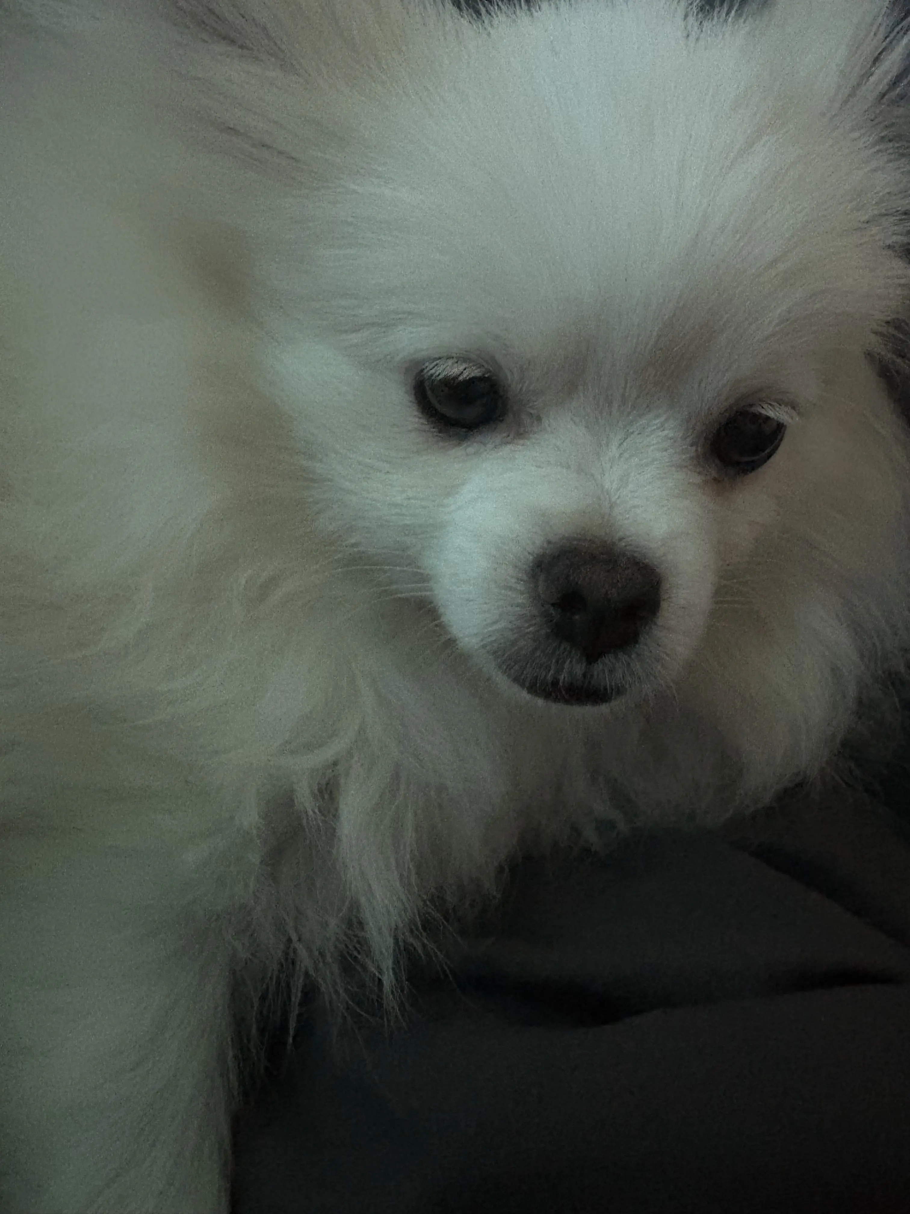 SlowDeathive2819의 💗아이돌중학교🏫(쌤은남자,여자)