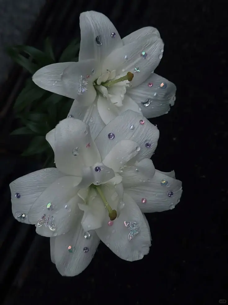 FlatImage7558의 どうせ、お互い離れられないのにね