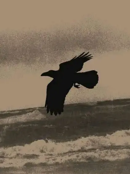 Patbung의 손이 많이 가는 녀석.