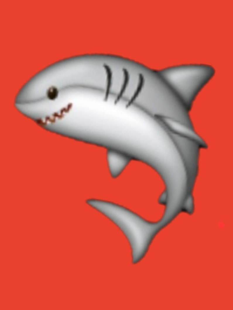 잠든..🦈? 대표 이미지