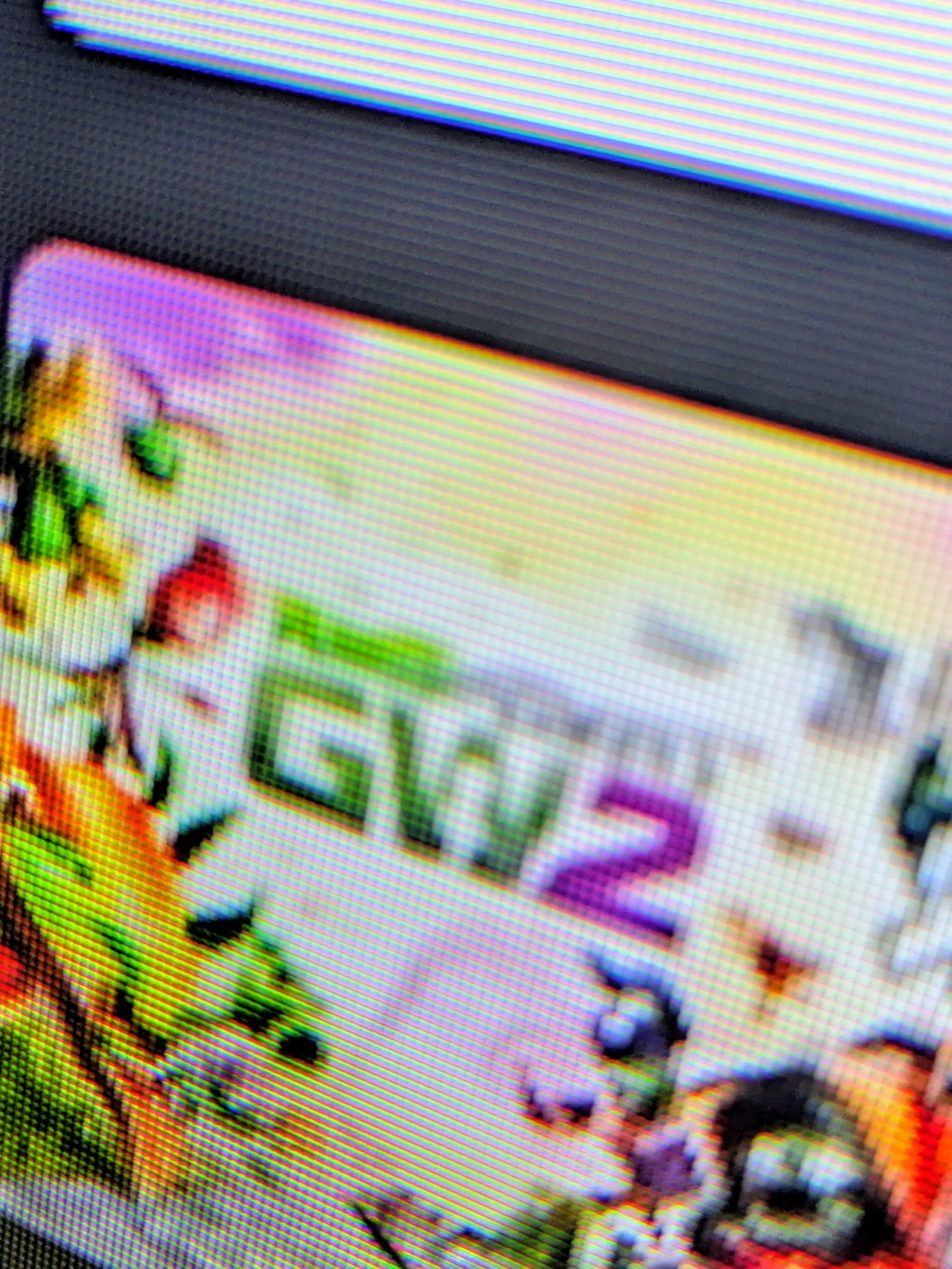 OvalFlame3140의 Plant Vs zombies RPG