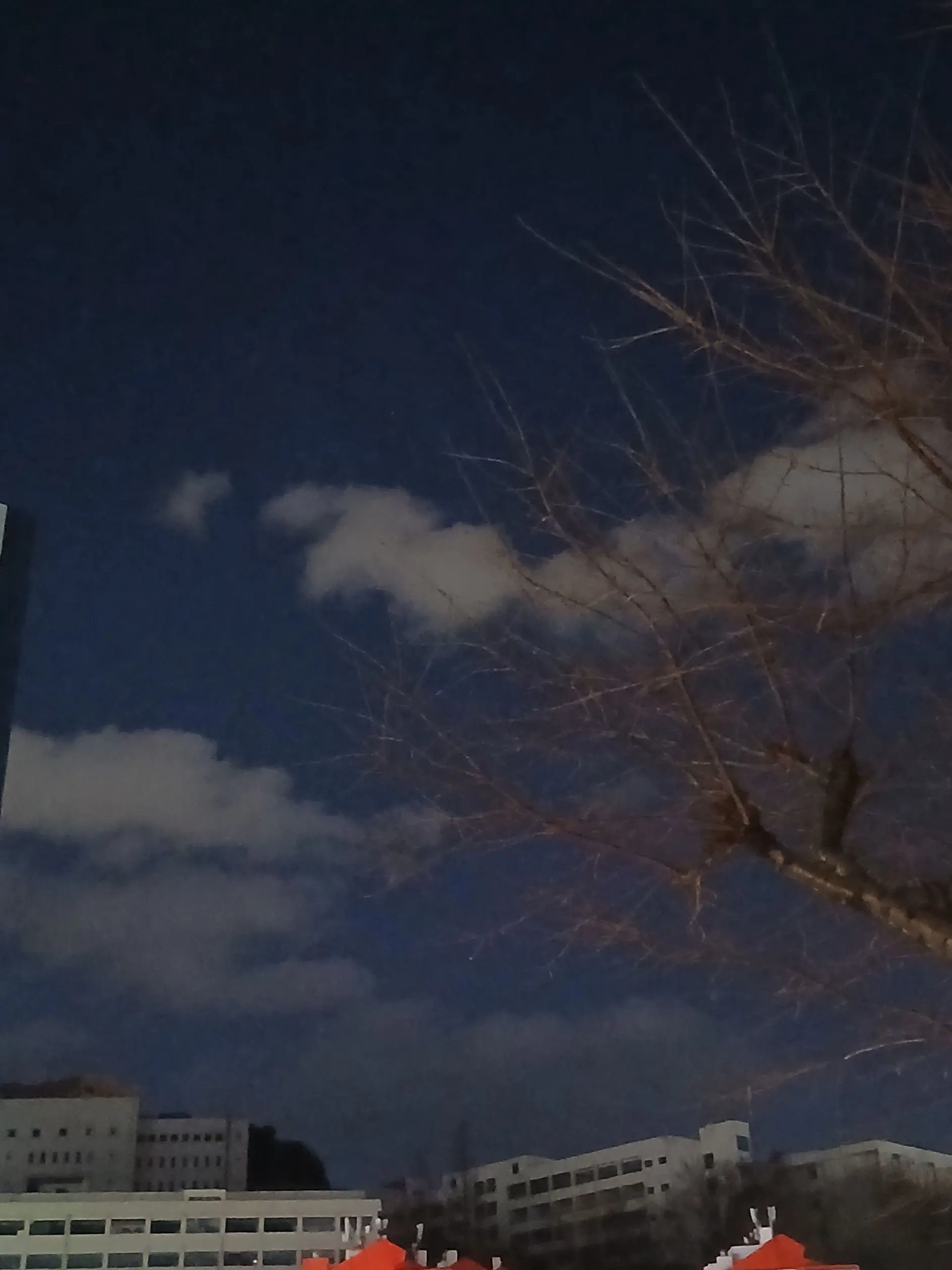 dpsgm1228의 리레볼루션(강가로가 내 몸을 던졌네)