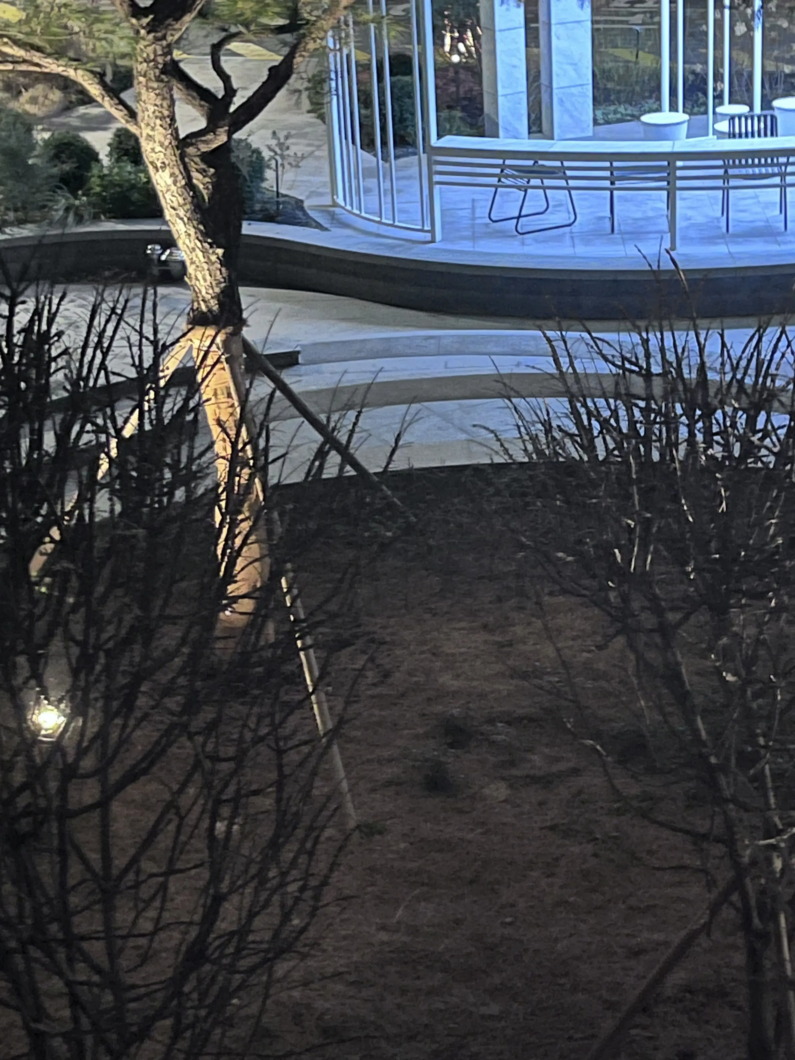 SakamotodayMARRYkiss의 마지막 얼굴