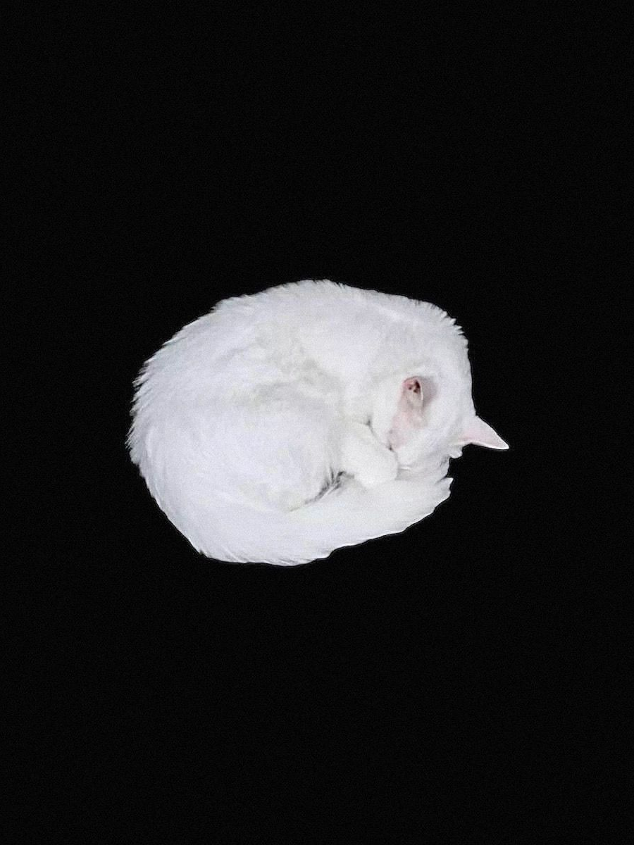 靈 대표 이미지