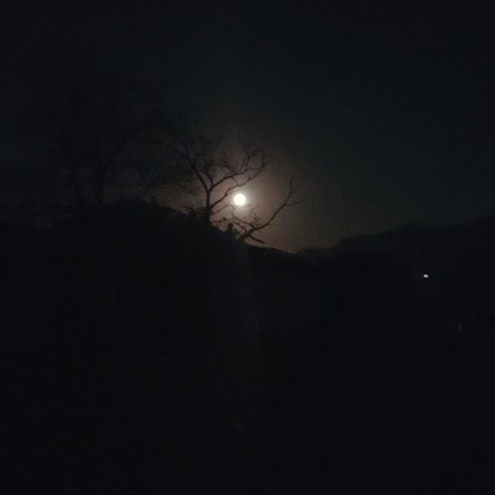 김애리 대표 이미지