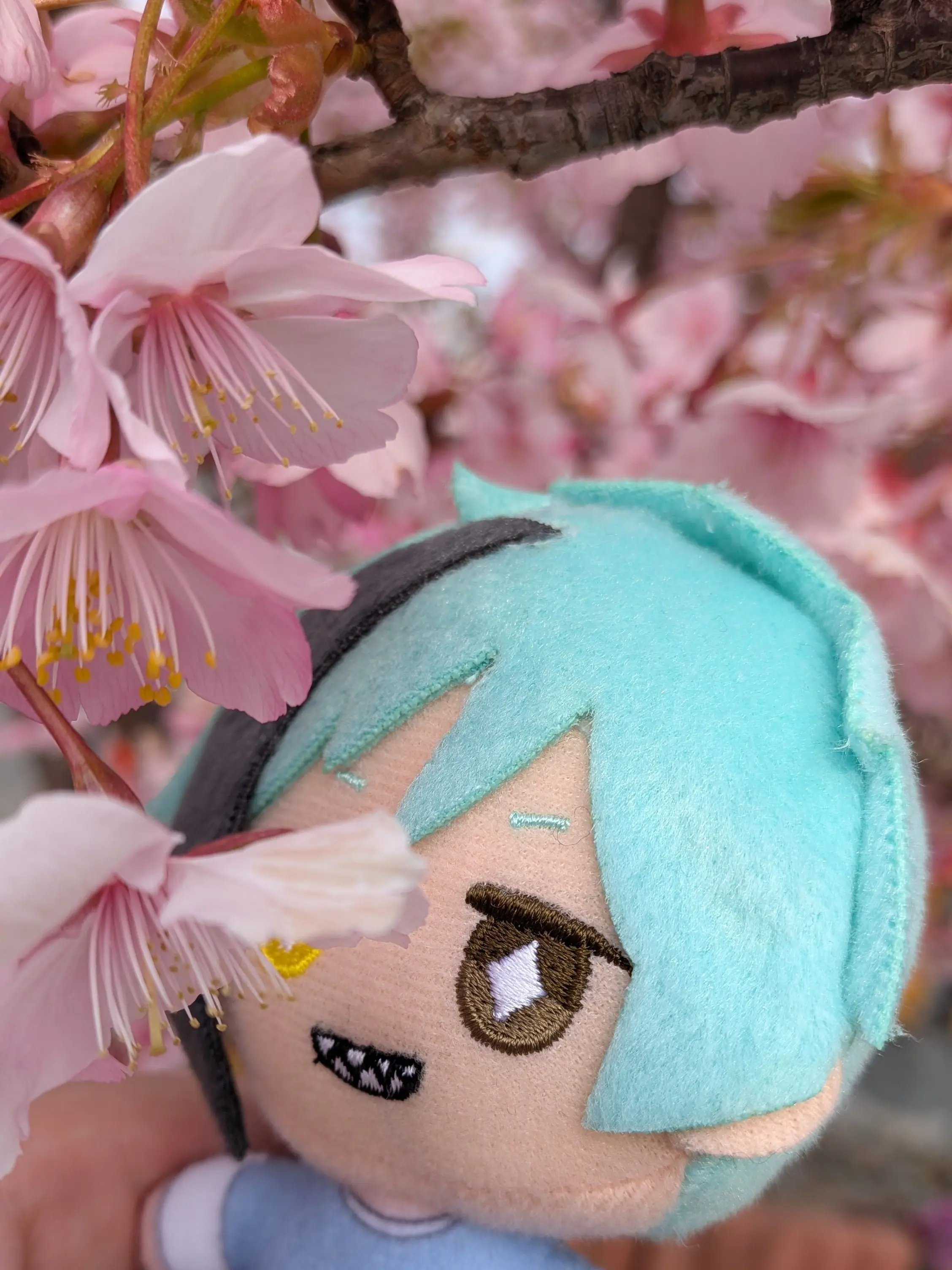 nasubi의 フロぬいに命が宿った話