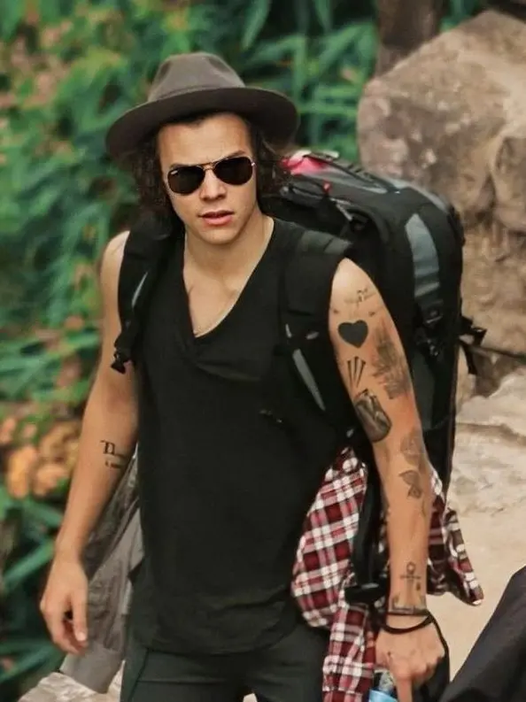Tpwkmultifandom의 Harry Styles