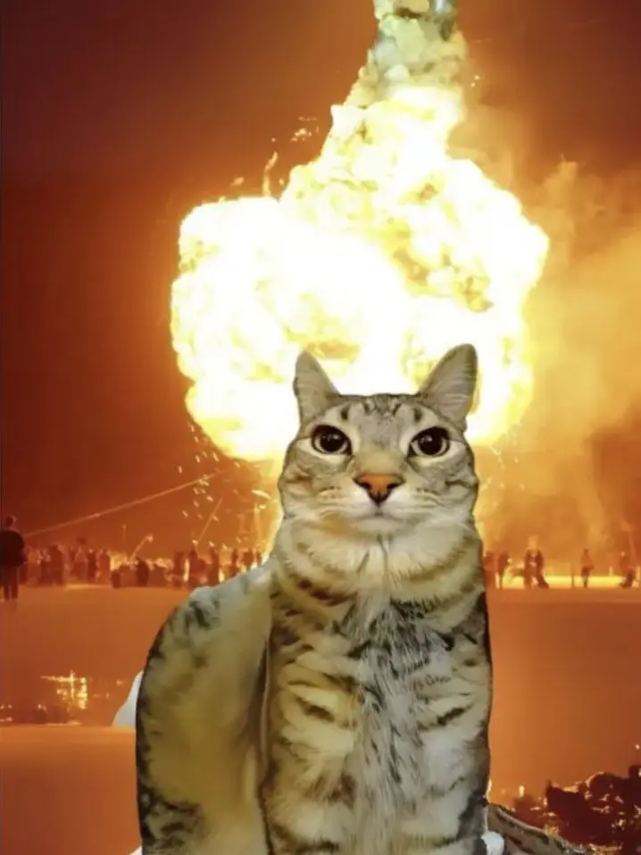 DBDBB의 비스트 수인마법학교