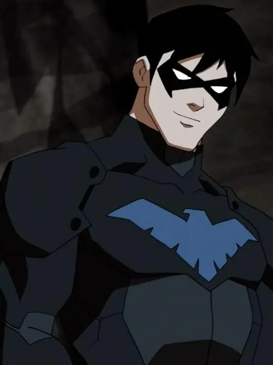 IcyMudi4803의 Nightwing