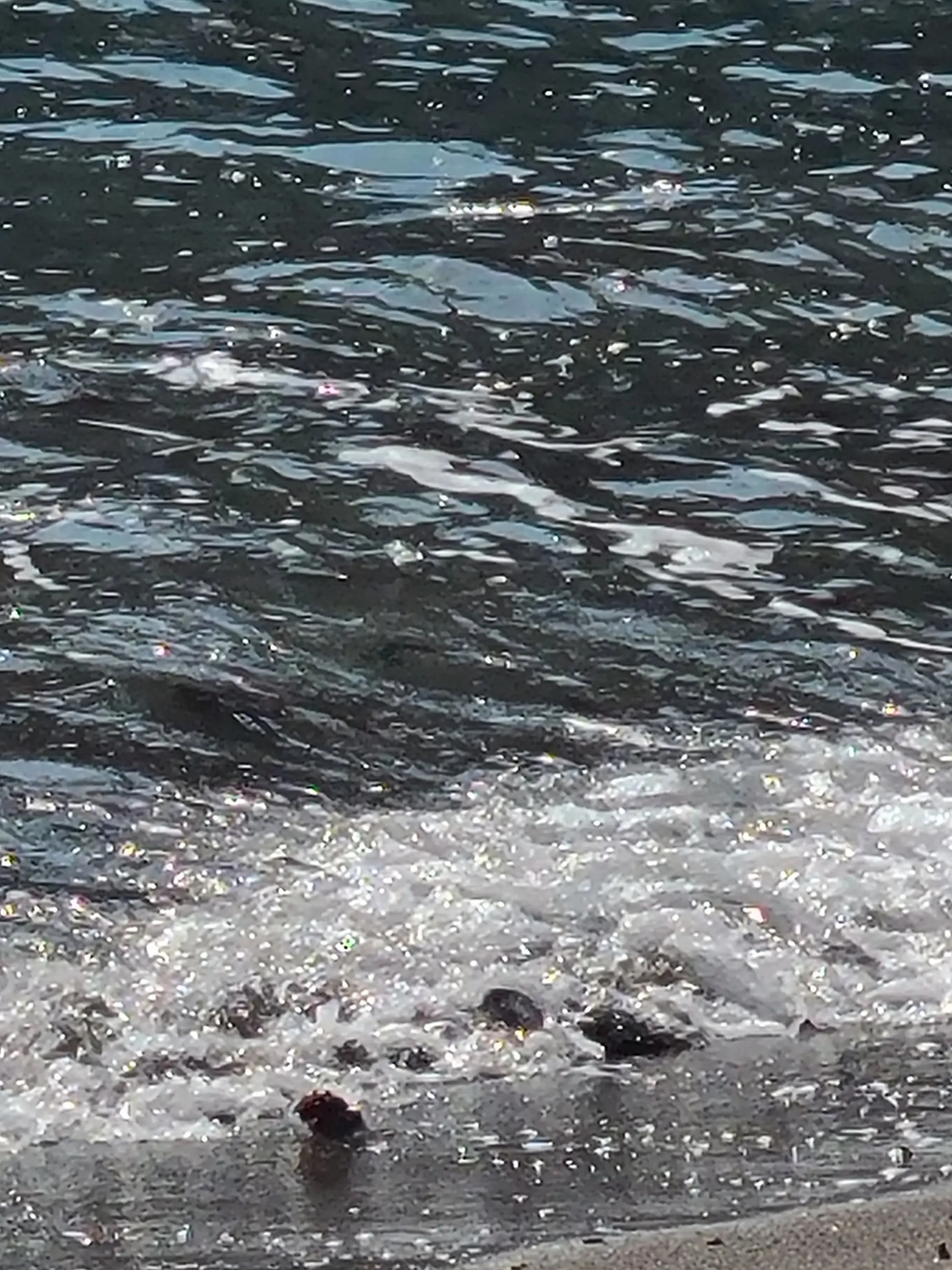 flashing의 인어는 눈물 대신 진주를 흘린다.