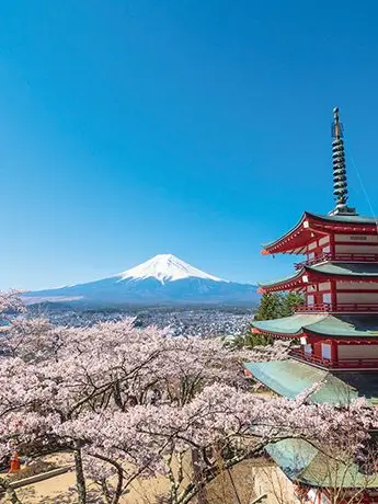 NearChart6875의 ヤニねこたちと日本一周旅行