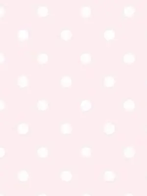 nyanp_의 繋がり会