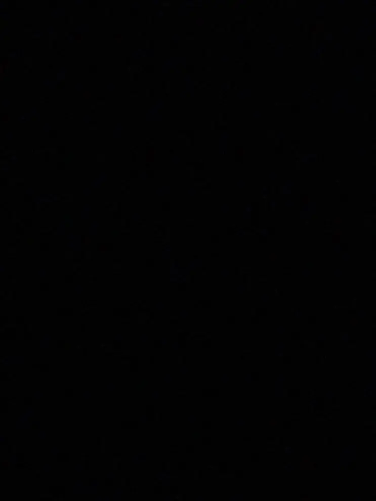 InlandTape5324의 리레볼루션 -마리오네트-