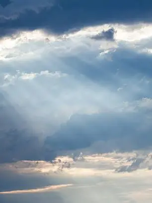 whhiter의 죽음을 거부하는 남자